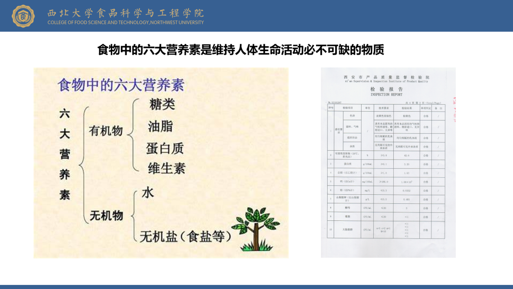 图片[3]-泰谦堂醋蛋液 营养分析和功能评估及品质控制–来自西北大学赵浩安教授-智健家