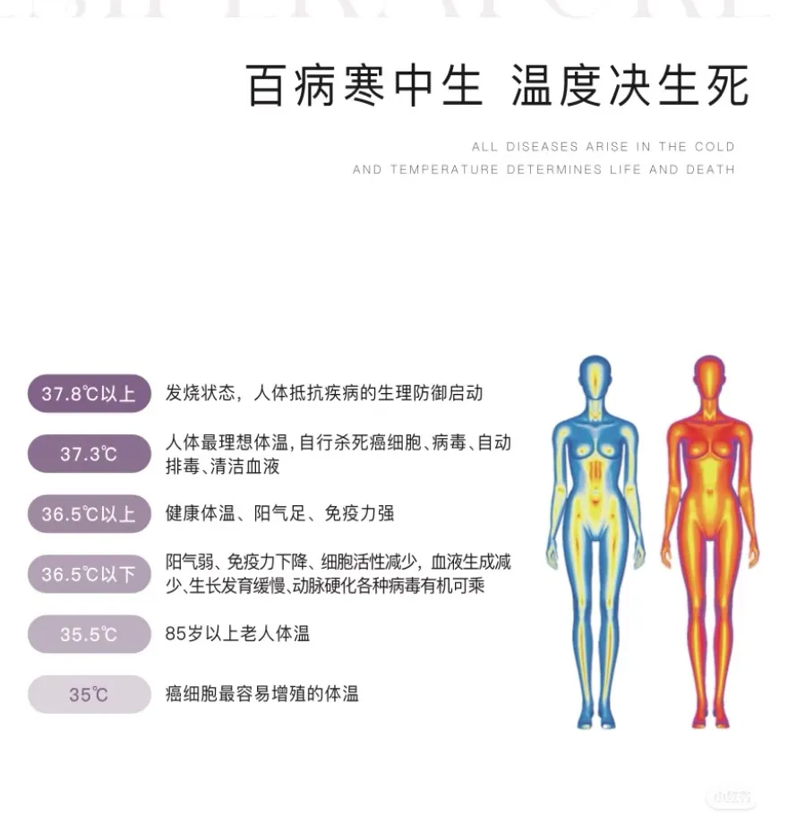 温度决生死,读懂身体的热语言,养出精气神的最高级美-智健家