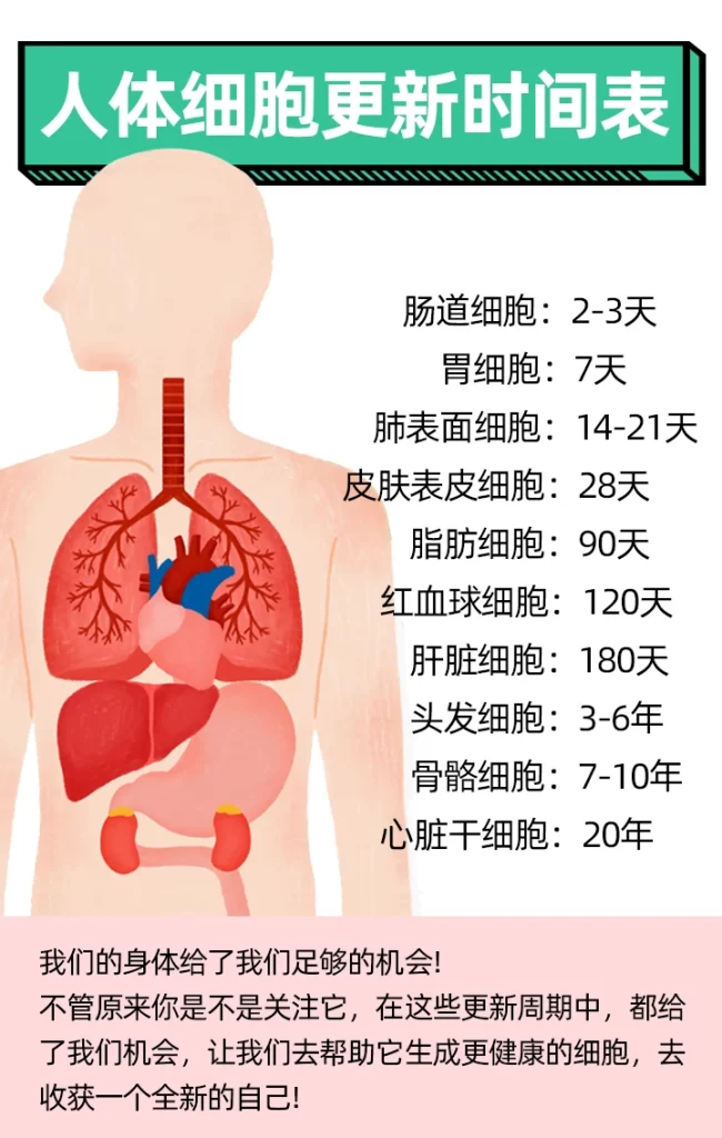图片[3]-【精华版】醋蛋归元液饮用方法小常识，科学服用必须遵循子午流注，会员收藏，方便服务！-智健家