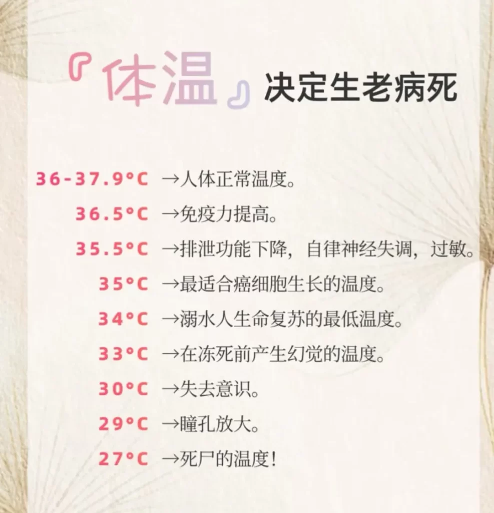 图片[3]-温度决生死，读懂身体的热语言，养出精气神的最高级美-智健家