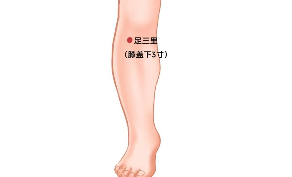 图片[3]-秋天老人咳不停、我困到摸鱼？这套养生方案救了我们！-智健家