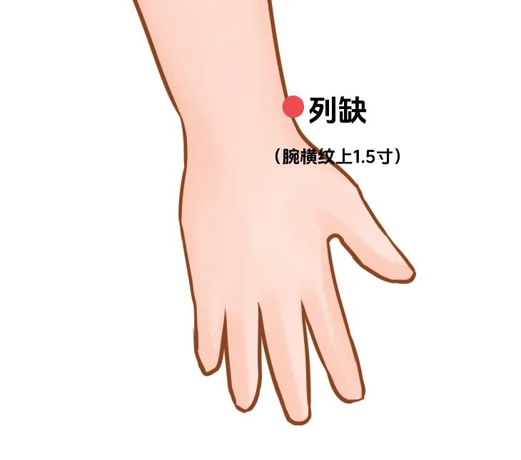 图片[2]-秋天老人咳不停、我困到摸鱼？这套养生方案救了我们！-智健家
