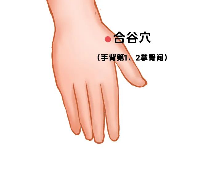 图片[4]-秋天老人咳不停、我困到摸鱼？这套养生方案救了我们！-智健家