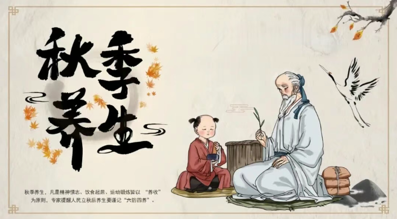 图片[2]-秋天皮肤干、总咳嗽还 emo？5 个养生招帮你顺时过秋！-智健家
