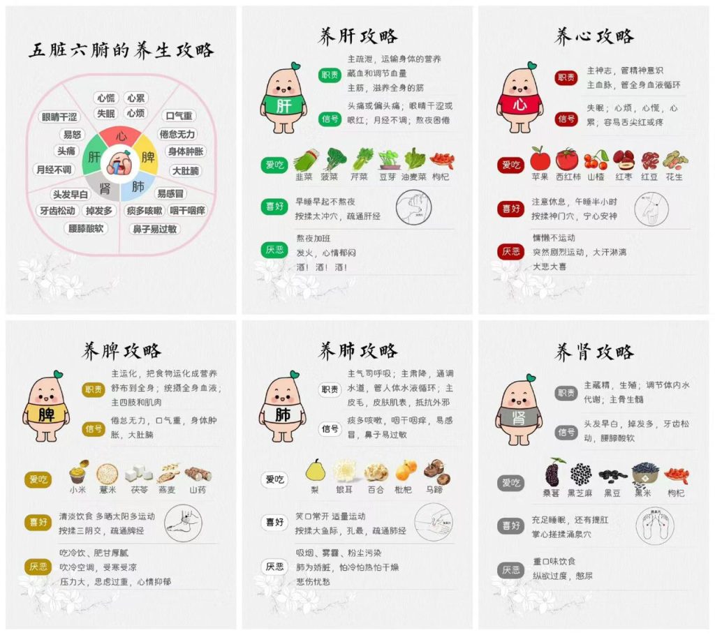 图片[2]-人体十二经脉气血流注次序，养生用好气血流注，就能保持身体健康-智健家