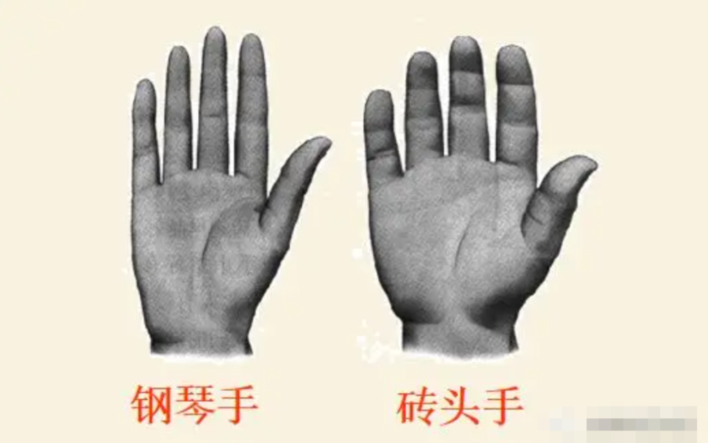 图片[4]-10分钟学会看手诊病-智健家