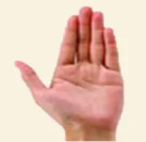 图片[6]-10分钟学会看手诊病-智健家