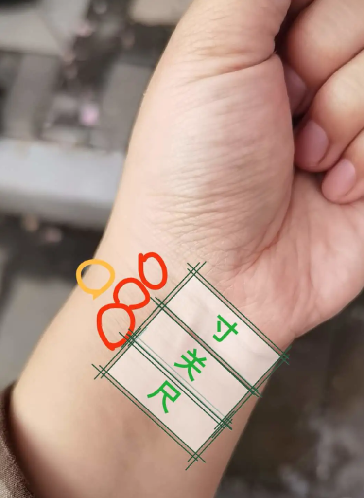 图片[1]-10分钟学会读懂脉象-智健家