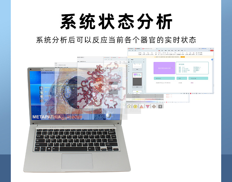 图片[8]-【VIP体验】NLS非线性数字智能检测仪-智健家