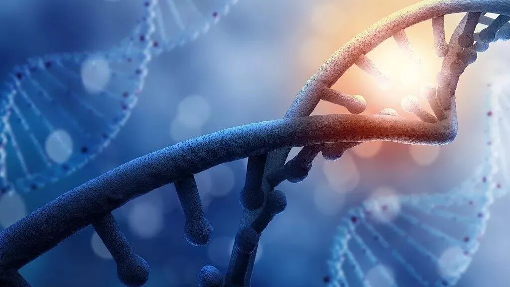 图片[4]-360°无死角全身精密细胞绿色高端筛查，只需30分钟，提前3-5年预警健康风险 —— NLS非线性数字智能检测仪-智健家