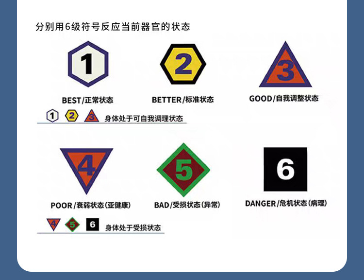 图片[9]-【VIP体验】NLS非线性数字智能检测仪-智健家