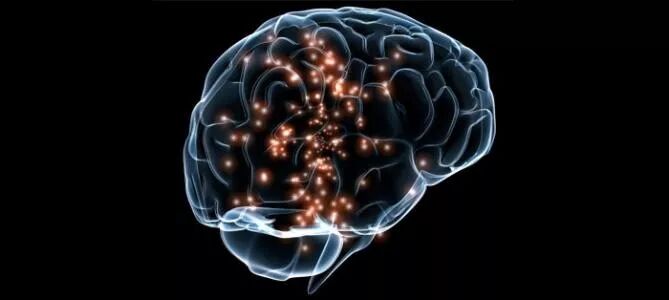 图片[5]-360°无死角全身精密细胞绿色高端筛查，只需30分钟，提前3-5年预警健康风险 —— NLS非线性数字智能检测仪-智健家