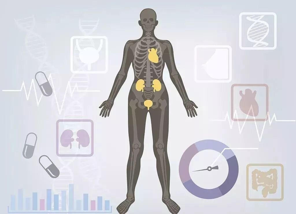 图片[6]-360°无死角全身精密细胞绿色高端筛查，只需30分钟，提前3-5年预警健康风险 —— NLS非线性数字智能检测仪-智健家