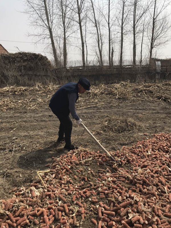 【视频】喝泰谦堂醋蛋液以（前），腰托 腰椎间盘突出 腰椎管狭窄，导致不能站立行走-智健家