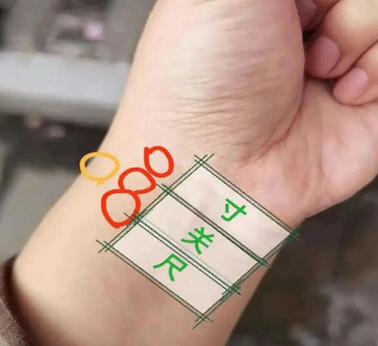 图片[1]-中医脉诊，三根手指探健康。-智健家