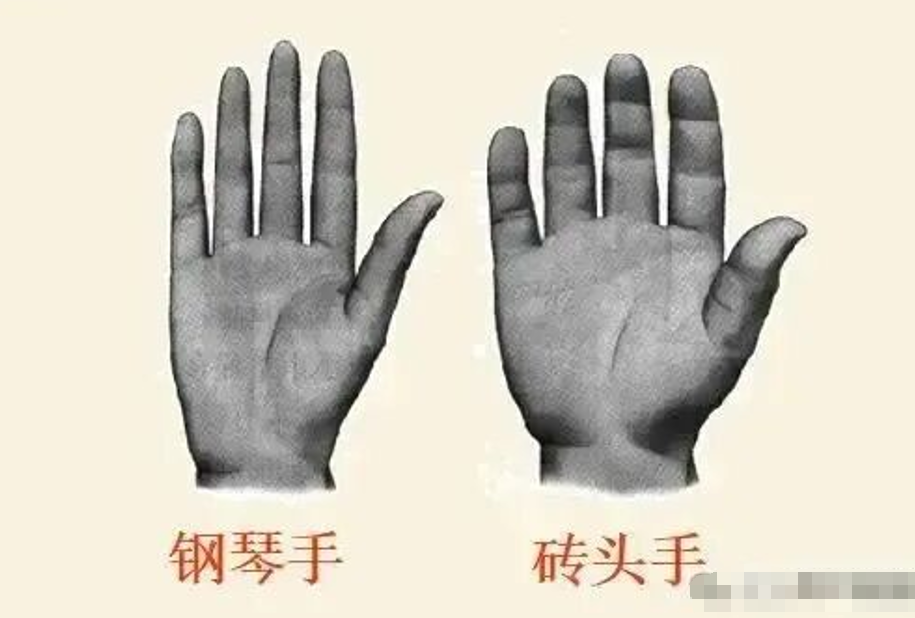 图片[2]-简单懂点手诊，帮你更加了解自己。-智健家