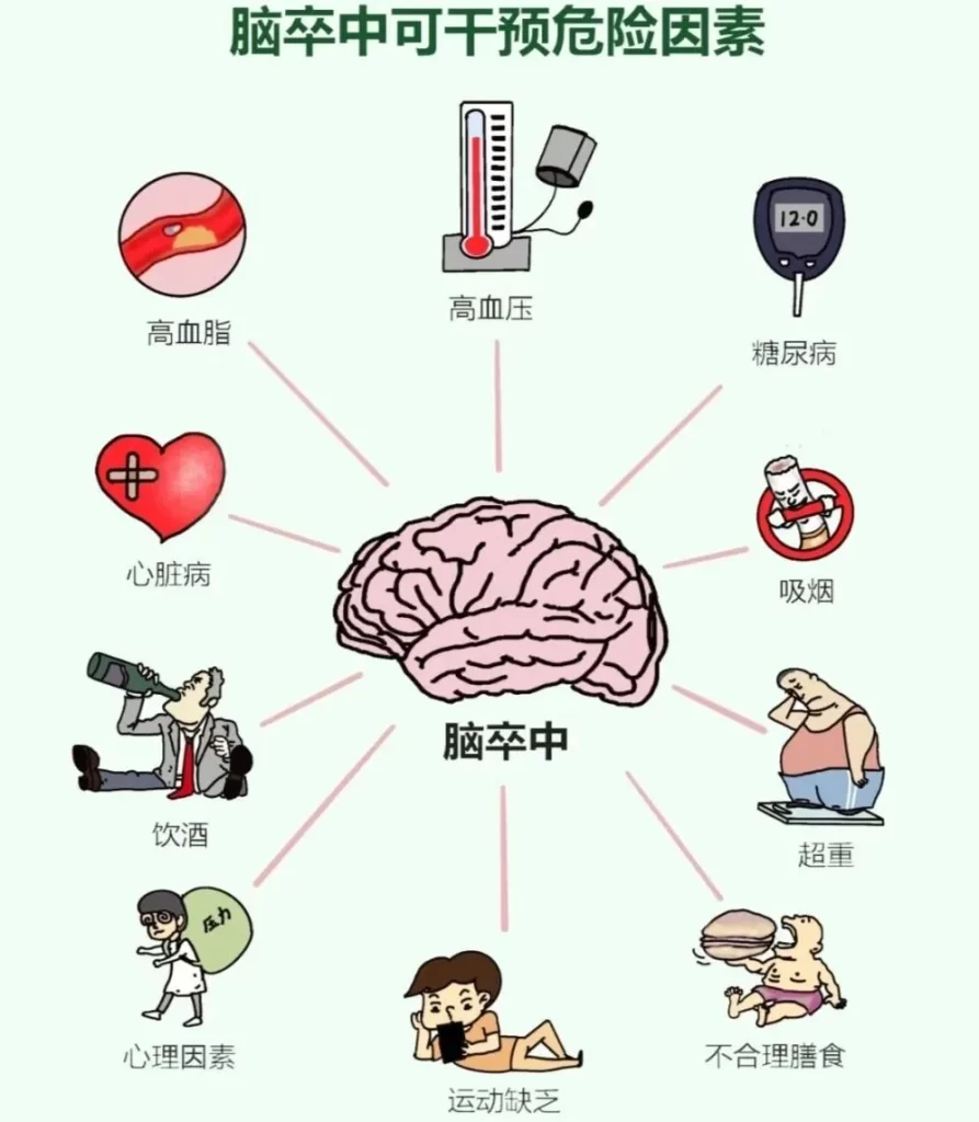 图片[3]-守护大脑健康，远离卒中危害-智健家