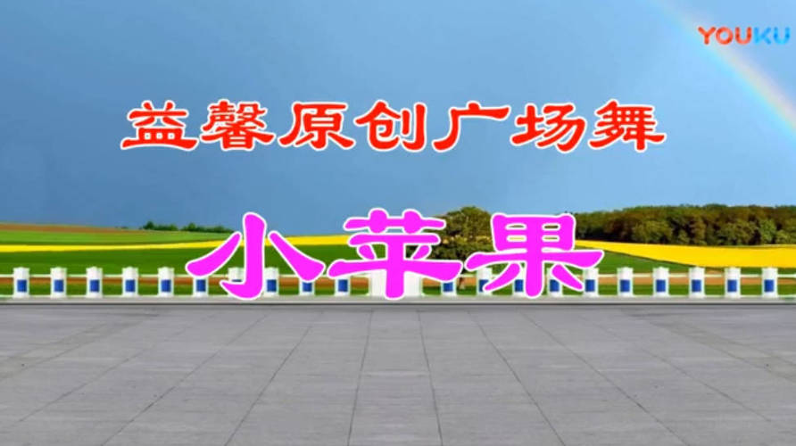 精选500首高清广场舞视频教学合集-智健家