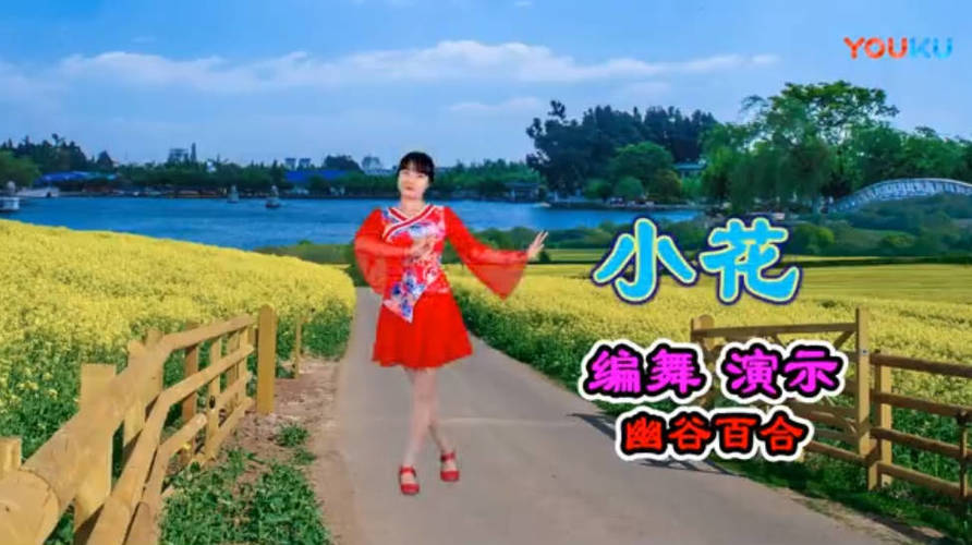 图片[2]-精选500首高清广场舞视频教学合集-智健家