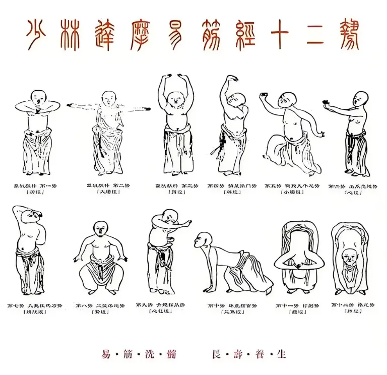 图片[3]-楚袀聊养生｜6大养生功法，对症练才有效（小白必看）-智健家