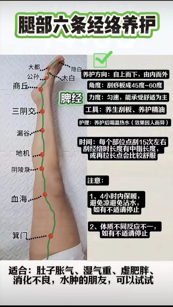 图片[5]-脚部经络堵塞自查表，你都知道吗？宝子们，脚部六条经络自查表来啦!!!-智健家