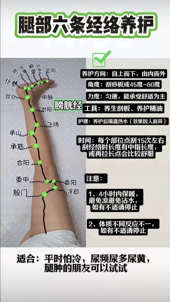 图片[7]-脚部经络堵塞自查表，你都知道吗？宝子们，脚部六条经络自查表来啦!!!-智健家