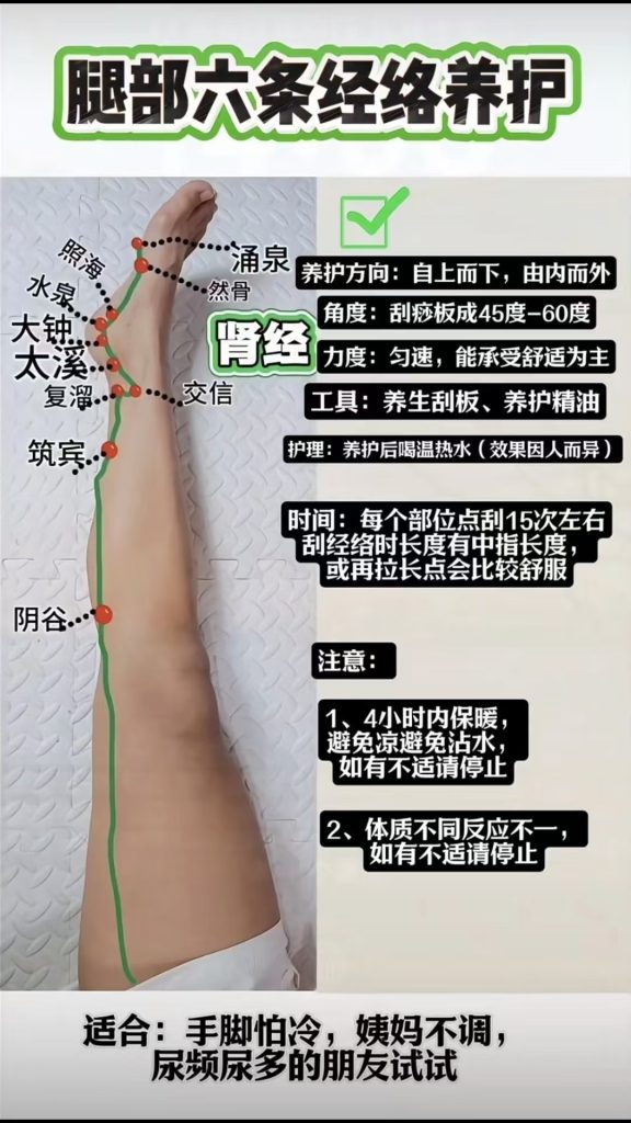 图片[8]-脚部经络堵塞自查表，你都知道吗？宝子们，脚部六条经络自查表来啦!!!-智健家