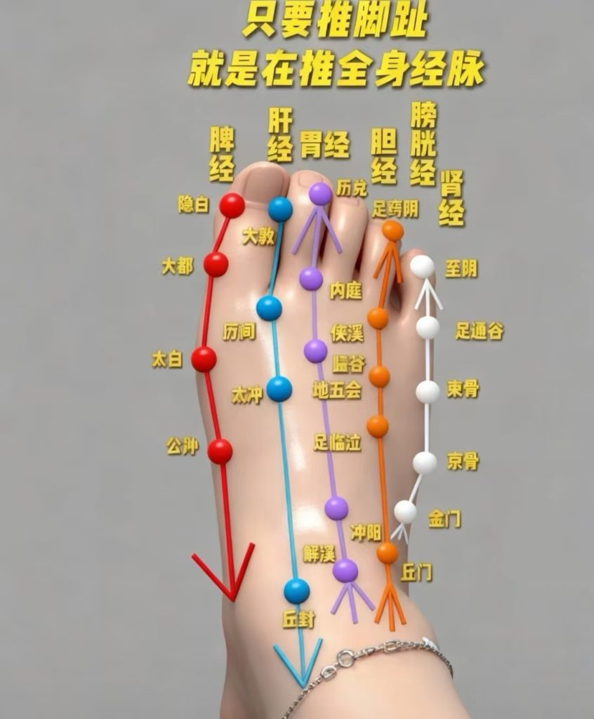 图片[1]-脚部经络堵塞自查表，你都知道吗？宝子们，脚部六条经络自查表来啦!!!-智健家
